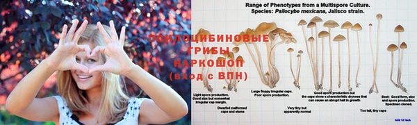 гашишное масло Зеленокумск