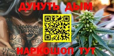 сатива Краснодар